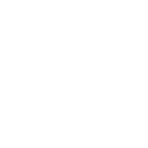 Voorstel behandelplan